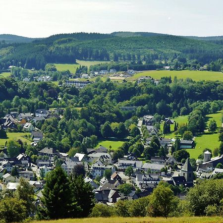 Ferienhaus Diemelquelle - Mit Eingezaeuntem Garten Willingen  Exteriör bild