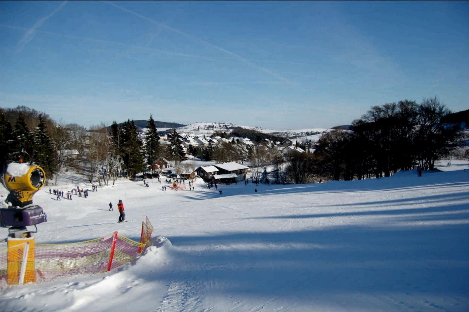 Ferienhaus Diemelquelle - Mit Eingezaeuntem Garten Willingen  Exteriör bild