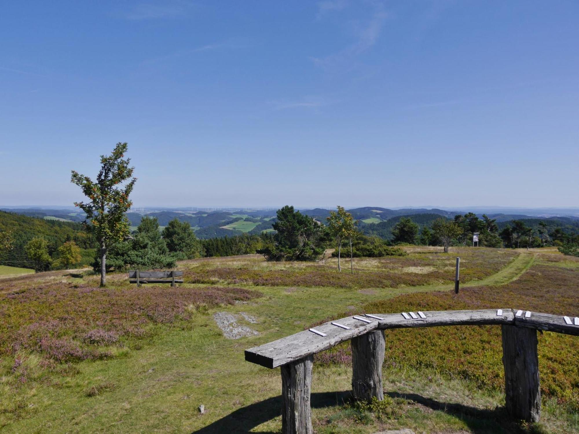 Ferienhaus Diemelquelle - Mit Eingezaeuntem Garten Willingen  Exteriör bild