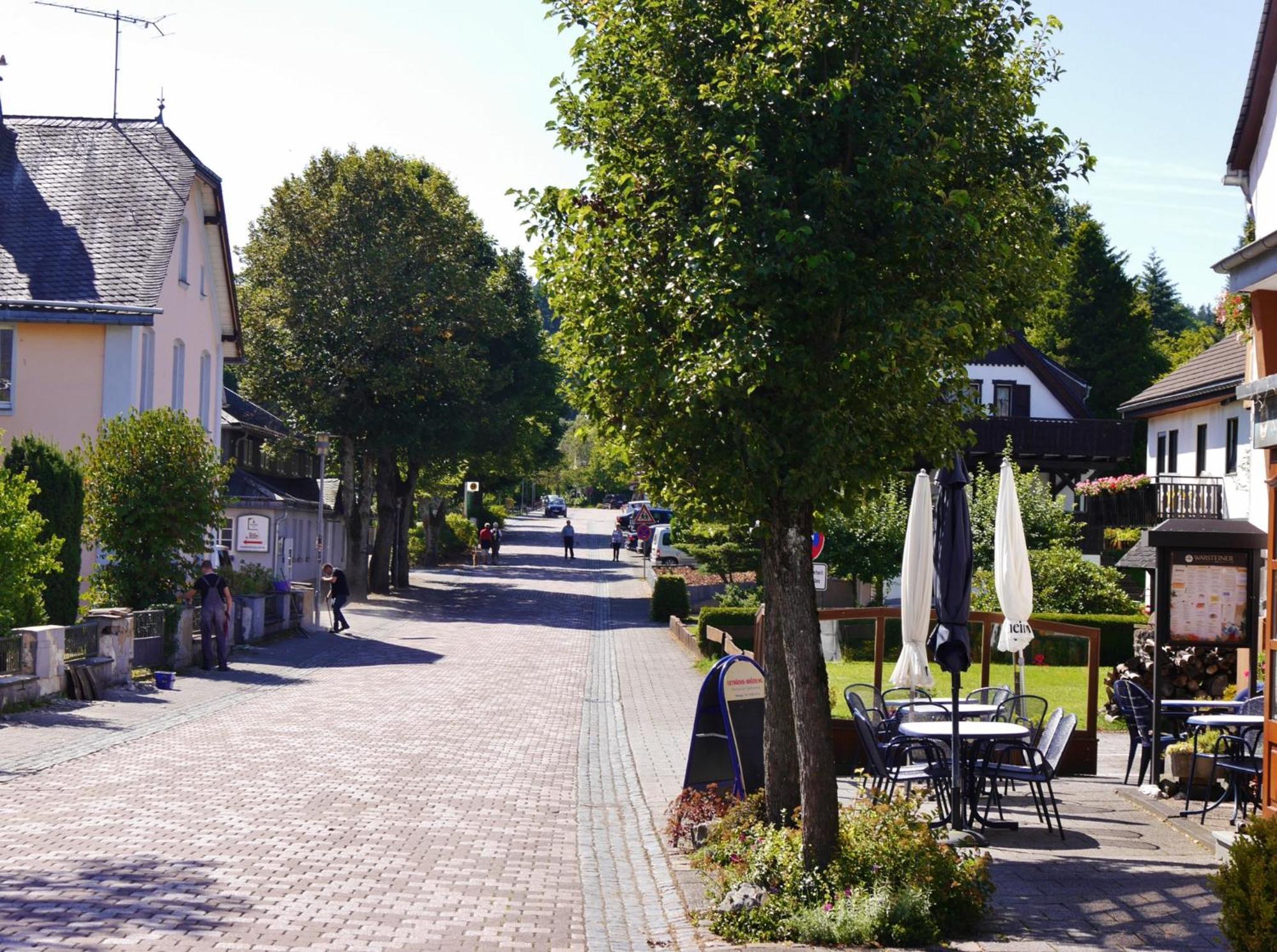 Ferienhaus Diemelquelle - Mit Eingezaeuntem Garten Willingen  Exteriör bild
