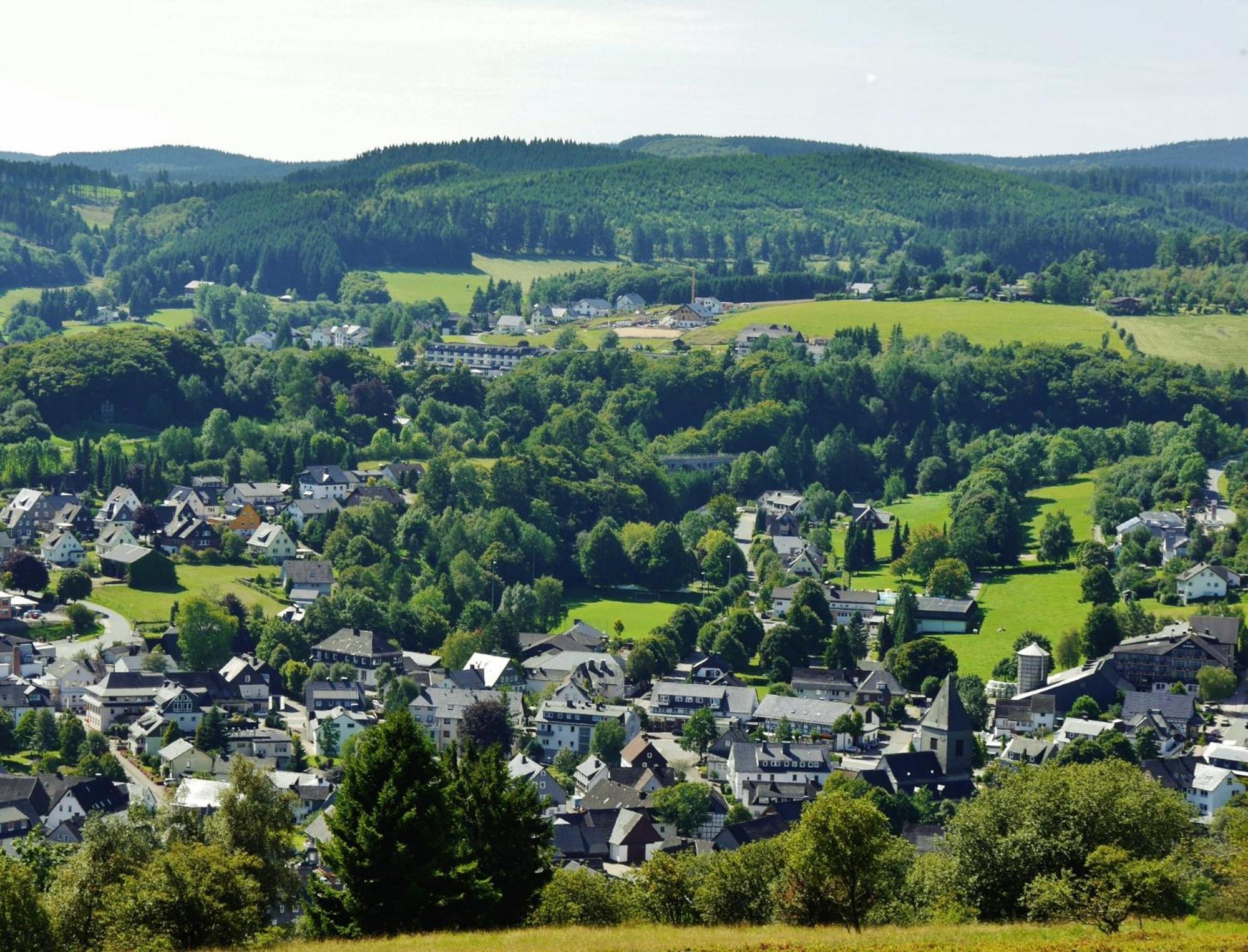 Ferienhaus Diemelquelle - Mit Eingezaeuntem Garten Willingen  Exteriör bild