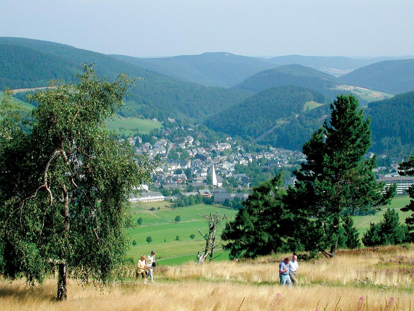 Ferienhaus Diemelquelle - Mit Eingezaeuntem Garten Willingen  Exteriör bild