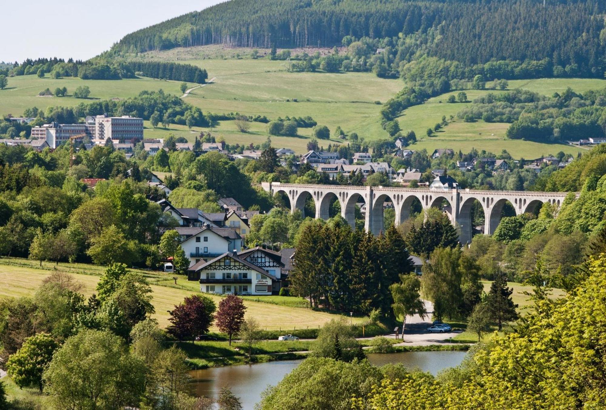 Ferienhaus Diemelquelle - Mit Eingezaeuntem Garten Willingen  Exteriör bild